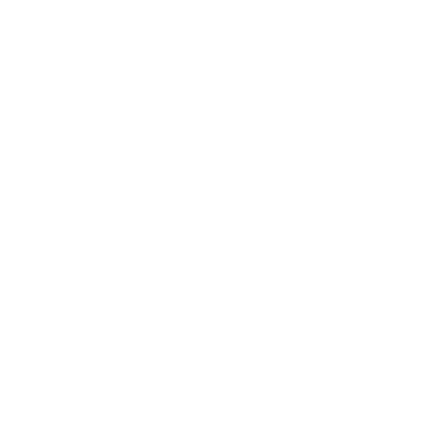 logo-the-north-face-blanco